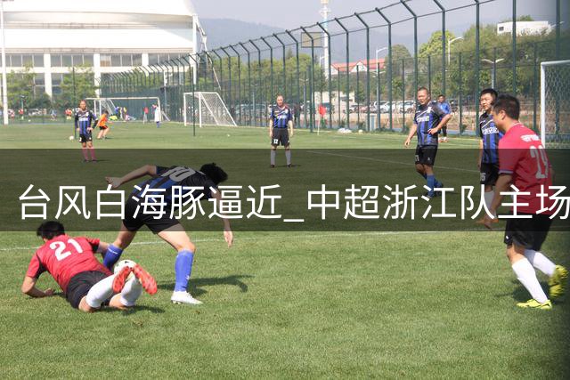 台风"白海豚"逼近 中超浙江队主场赛事紧急调整