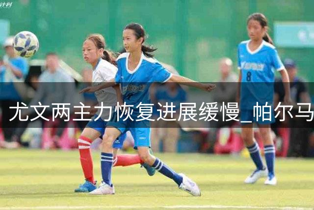尤文两主力恢复进展缓慢 帕尔马之战出战成疑