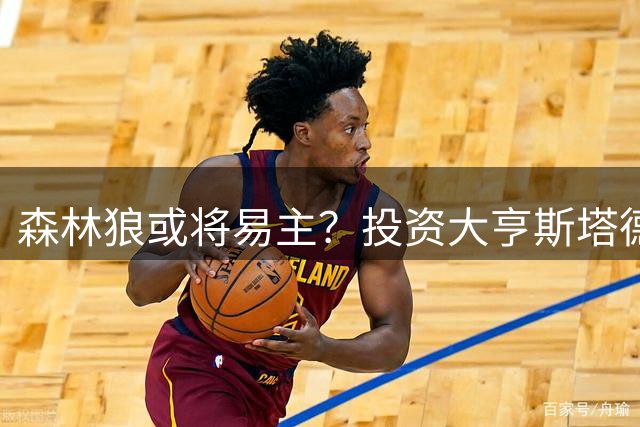 森林狼或将易主？投资大亨斯塔德拟接手球队控股权